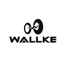 Wallke Ebike